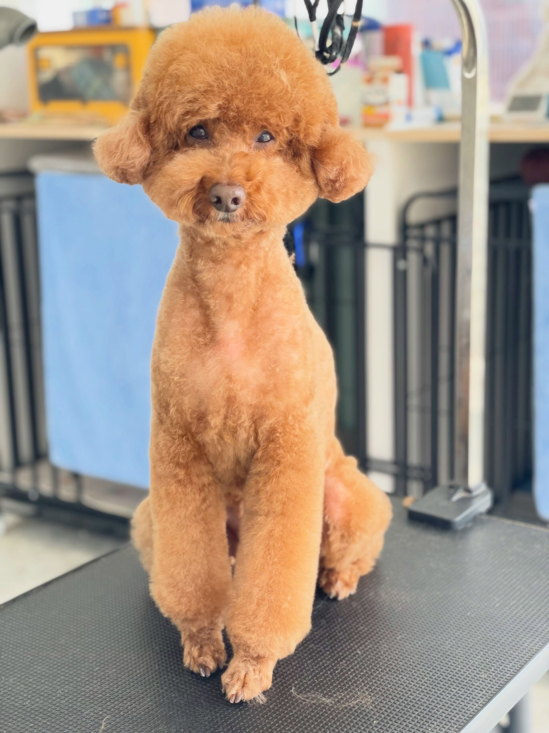 みんな姿勢がいいね🤩