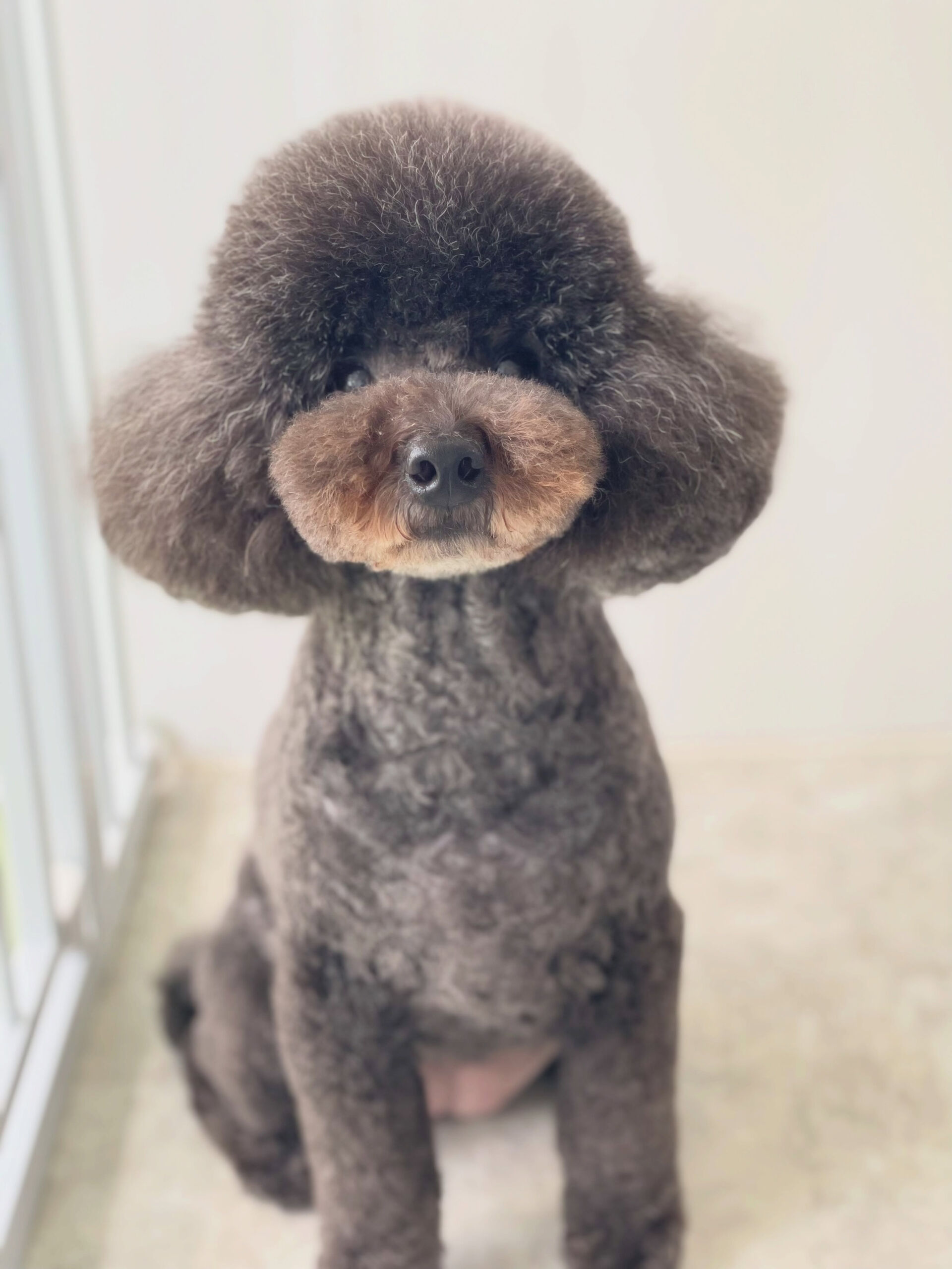 みんな姿勢がいいね🤩